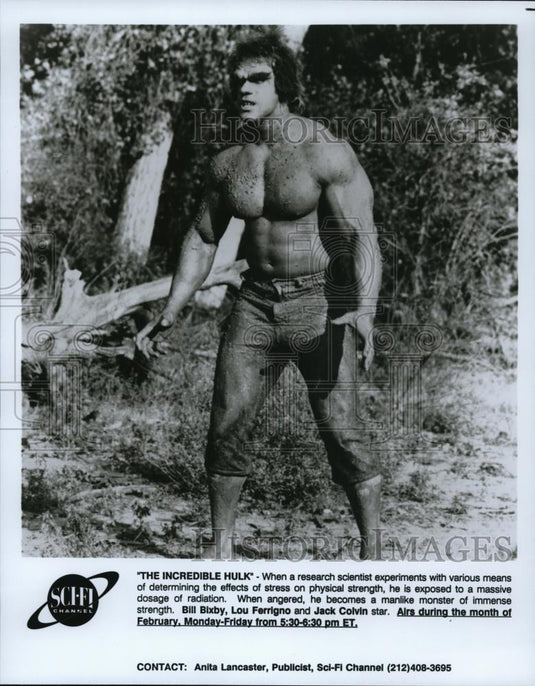 1993 Press Photo Lou Ferrigno stars as Bill Bixby in The Incredible Hulk - Historic Images
