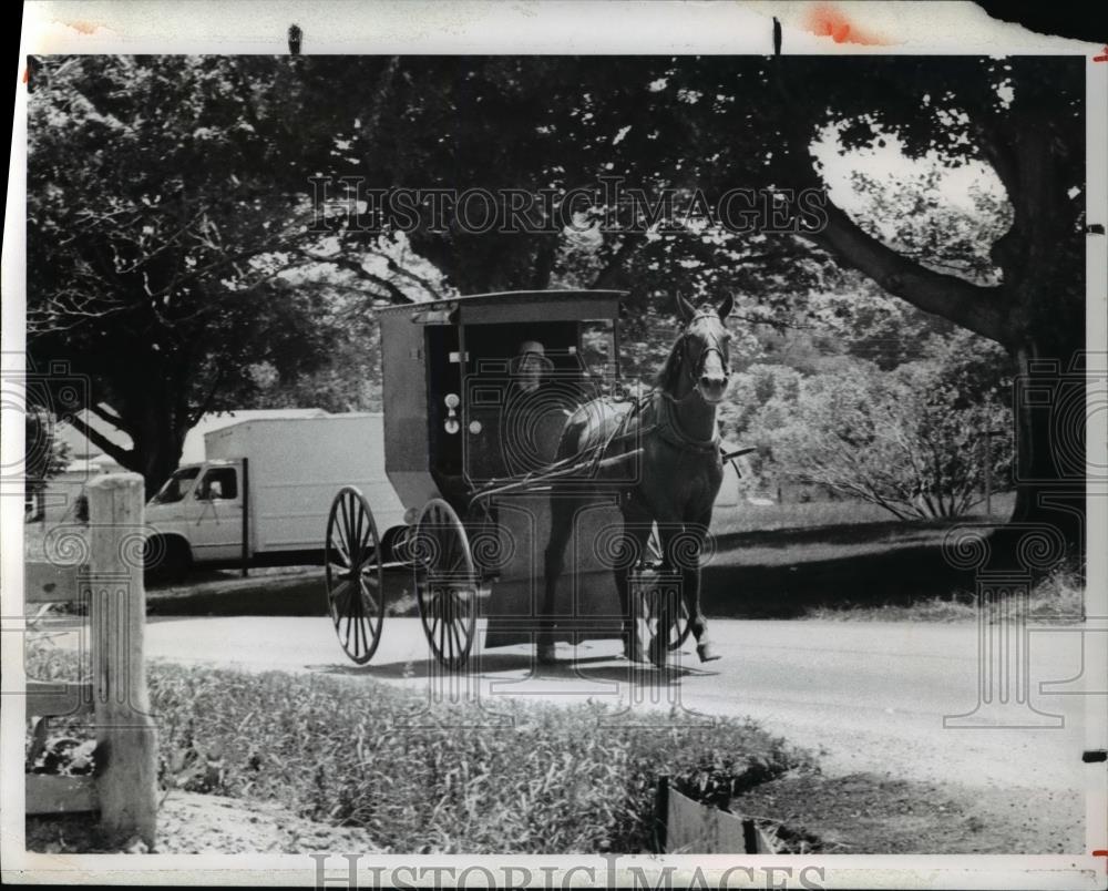 1979 Press Photo Amish Buggy in Ohio - Historic Images