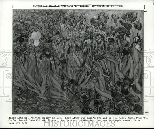 1987 Press Photo Major Late Oil Painted by Vincent Van Gogh - cva52598 - Historic Images