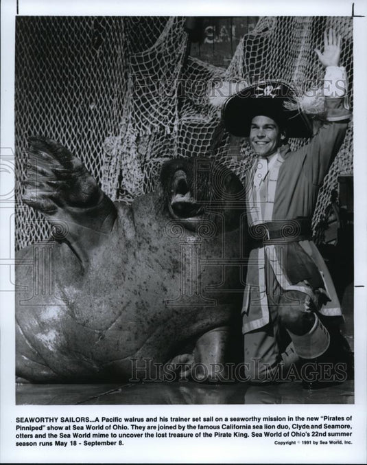 1991 Press Photo A Pacific walrus and his trainer at the Sea World Ohio - Historic Images