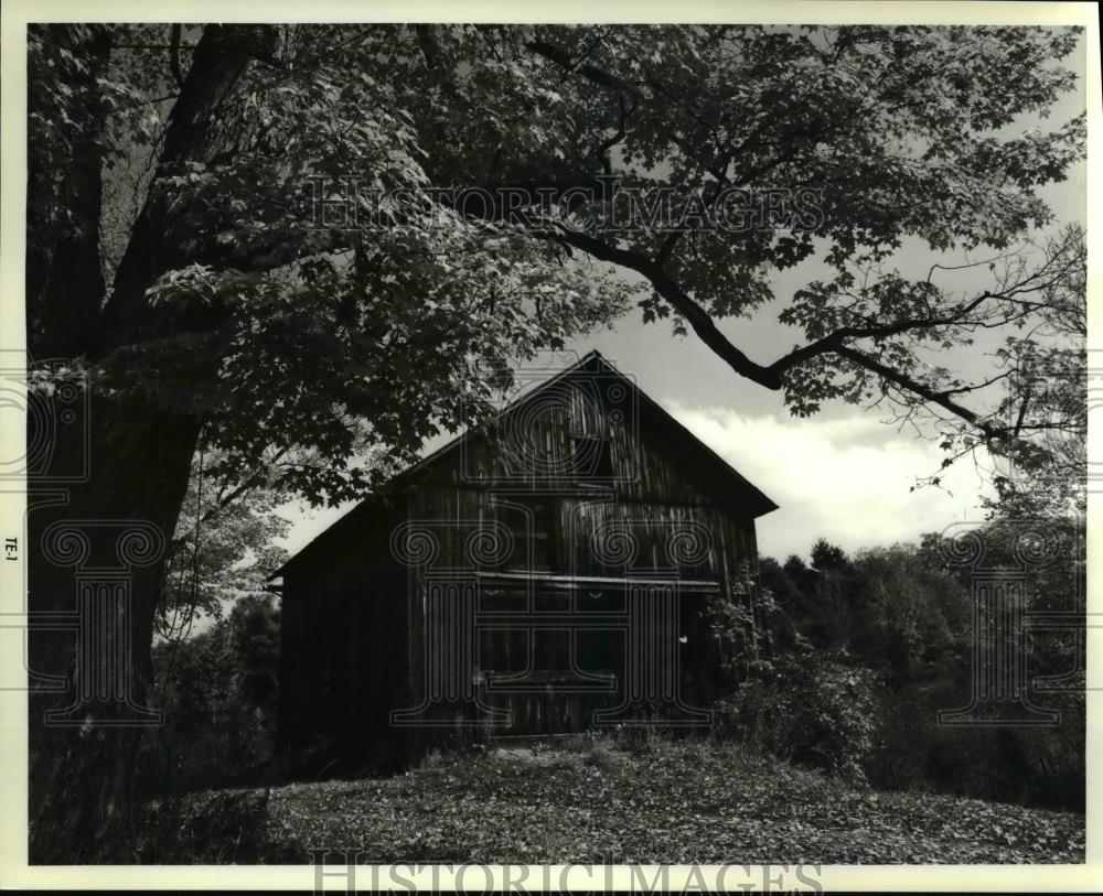 1980 Press Photo The Fall foliage heightened its beauty with a barn - Historic Images