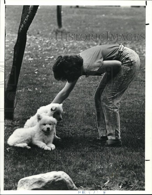 1990 Press Photo Frick and Frack twin puppies - Historic Images