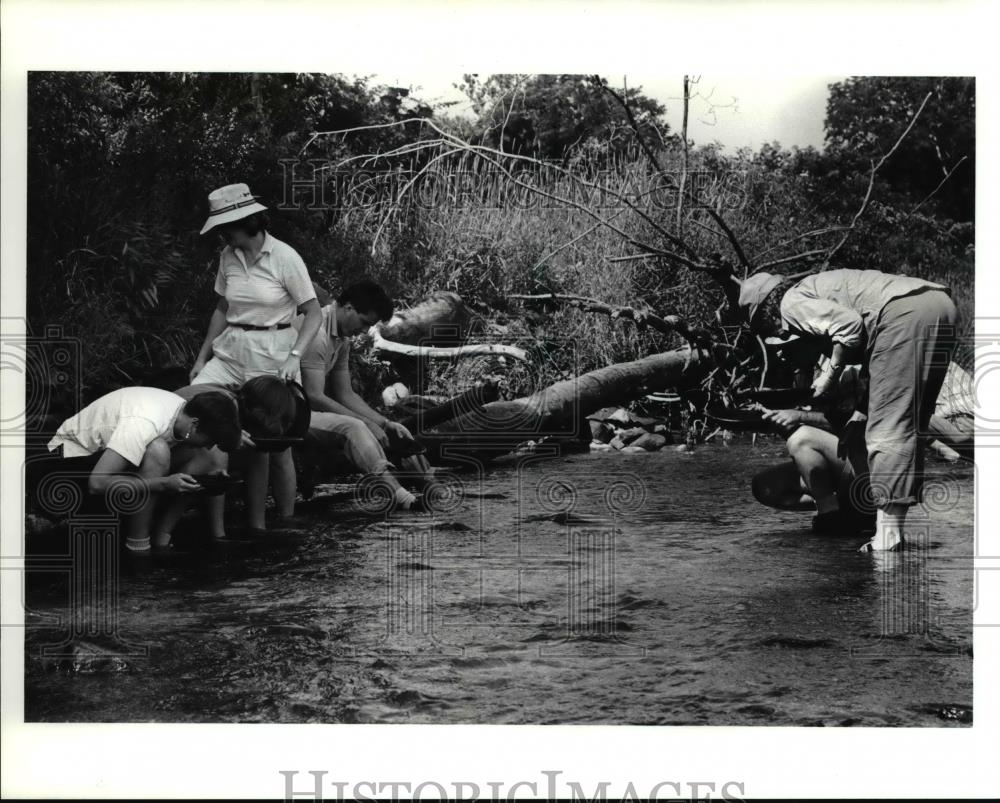 1990 Press Photo Group Pans for Gold in the Furnace run Creek. - Historic Images