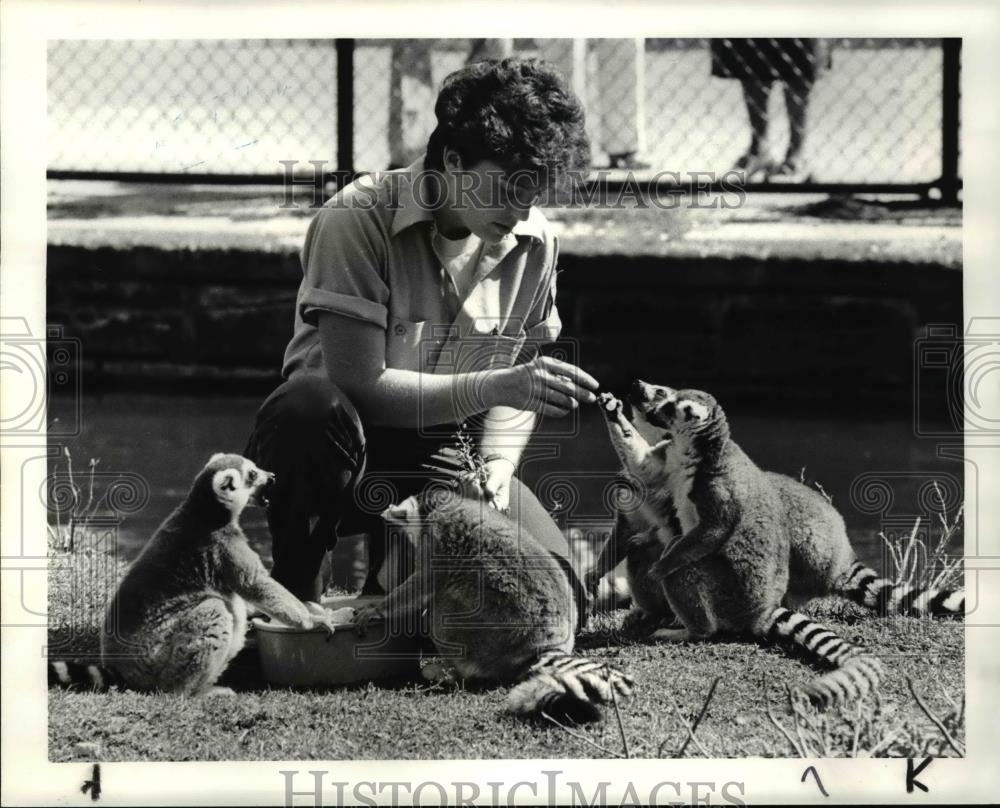 1984 Press Photo Cleveland Metroparks Zoo - Historic Images