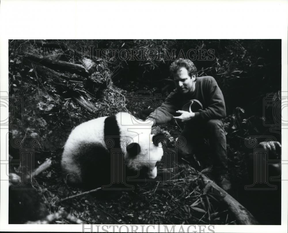 Press Photo Secrets Of The Wild Panda - Historic Images