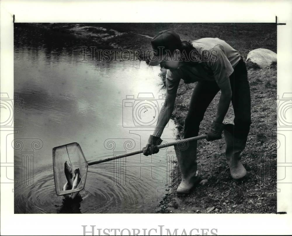 1991 Press Photo Joe Savary of the Metropark Zoo helps stock bunns Lake - Historic Images