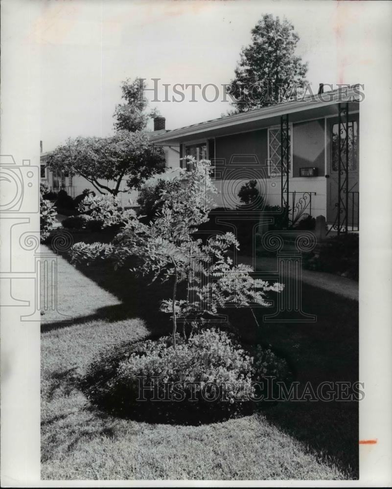 1978 Press Photo Garden, Zane Chlus, plant barrier around tree - Historic Images