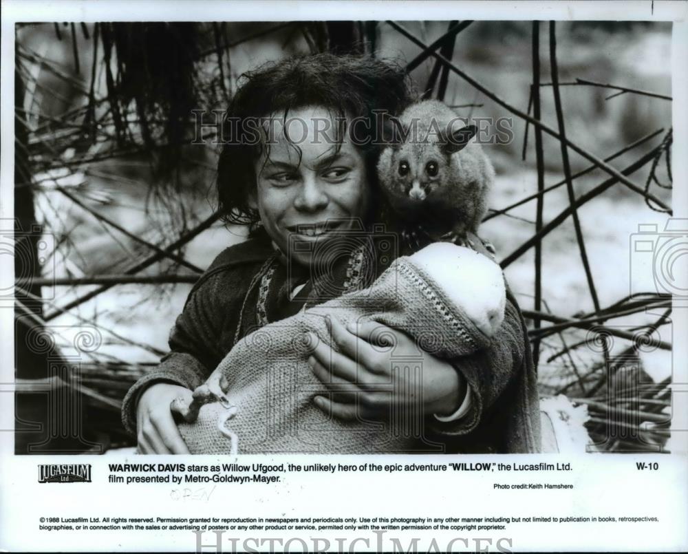 1988 Press Photo Willow Warwick Davis In Wollow - cvp45686 - Historic Images