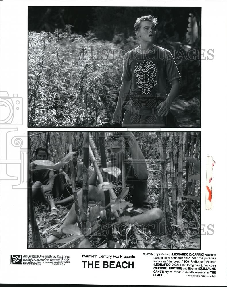 2000 Press Photo Leonardo DiCaprio Virginie Ledoyen Guillaume Canet in The Beach - Historic Images