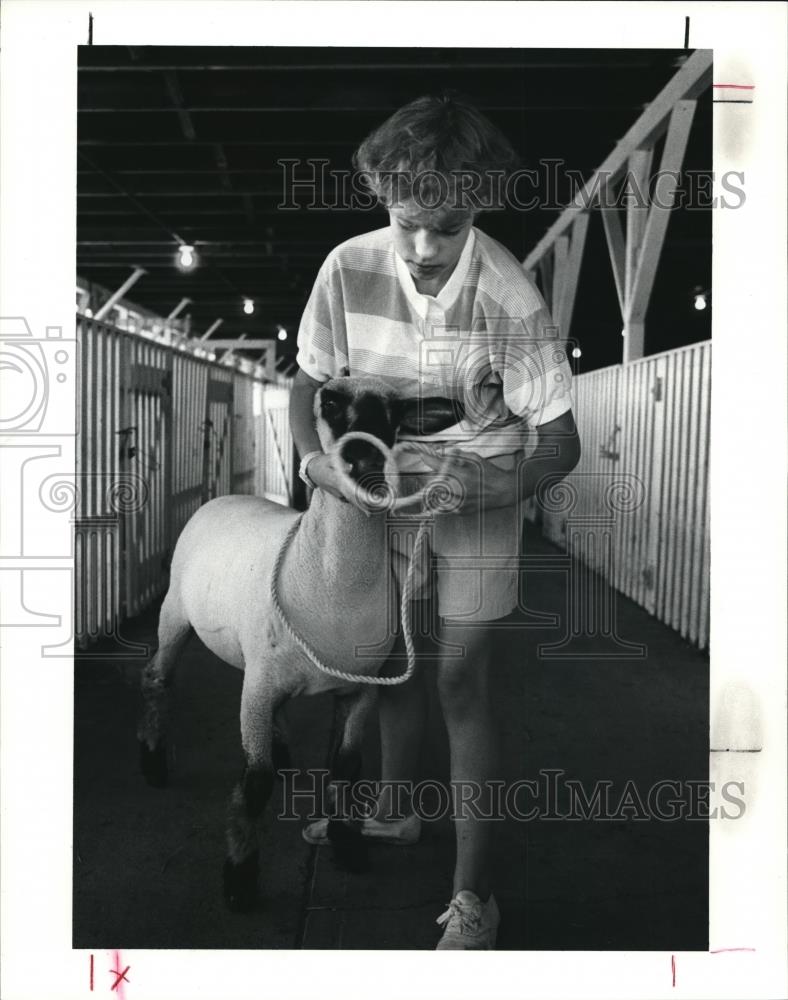 1990 Press Photo Renee as he prepares his sheep for the Lake Fair - Historic Images