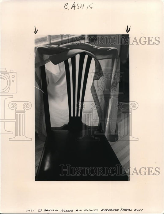 1986 Press Photo Commonplace images transformed by light of David Tucker - Historic Images