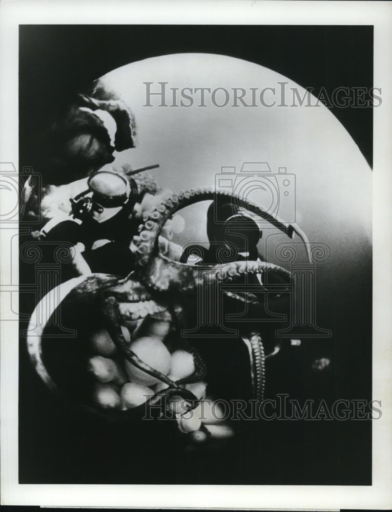1971 Press Photo Scene from Octopus Octopus TV Special - Historic Images