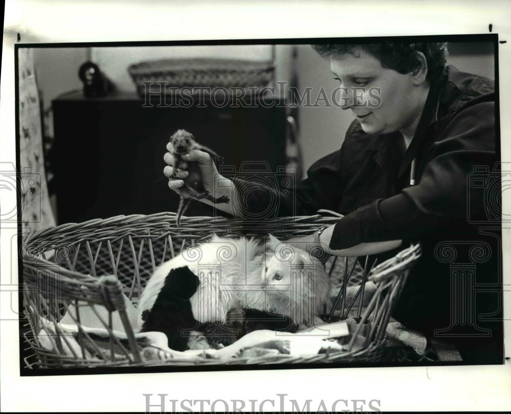 1986 Press Photo Parma Animal warden with cat that has adopted two kittens - Historic Images