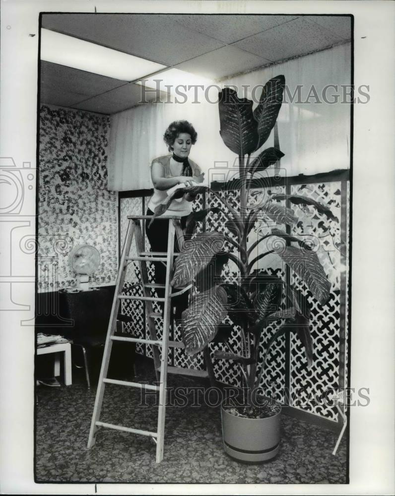 1977 Press Photo Doretta Brunning with her 11ft Dieffenbachia - Historic Images