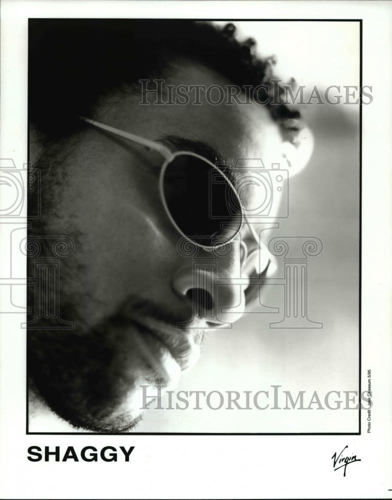 1995 Press Photo Shaggy - cvp75551 - Historic Images