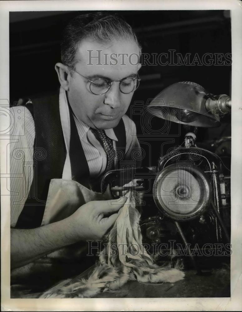 1944 Press Photo A man working with chinchilla furs to make clothing - Historic Images