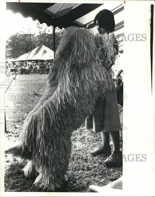 1980 Press Photo Hungarian Komondor Owned by Barbara Mooney - Historic Images