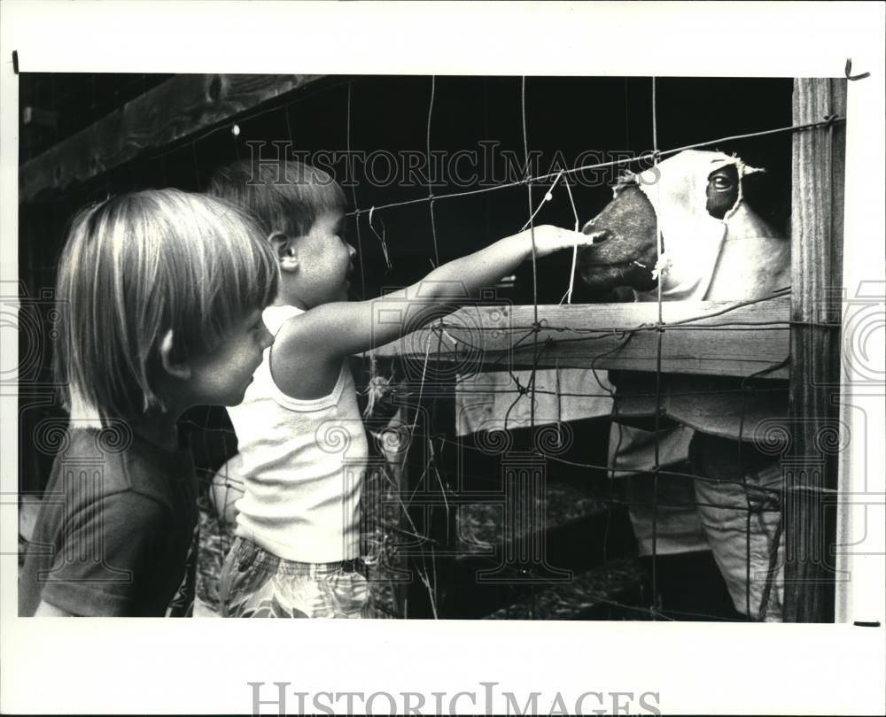 1987 Press Photo Summit County Fair - Historic Images