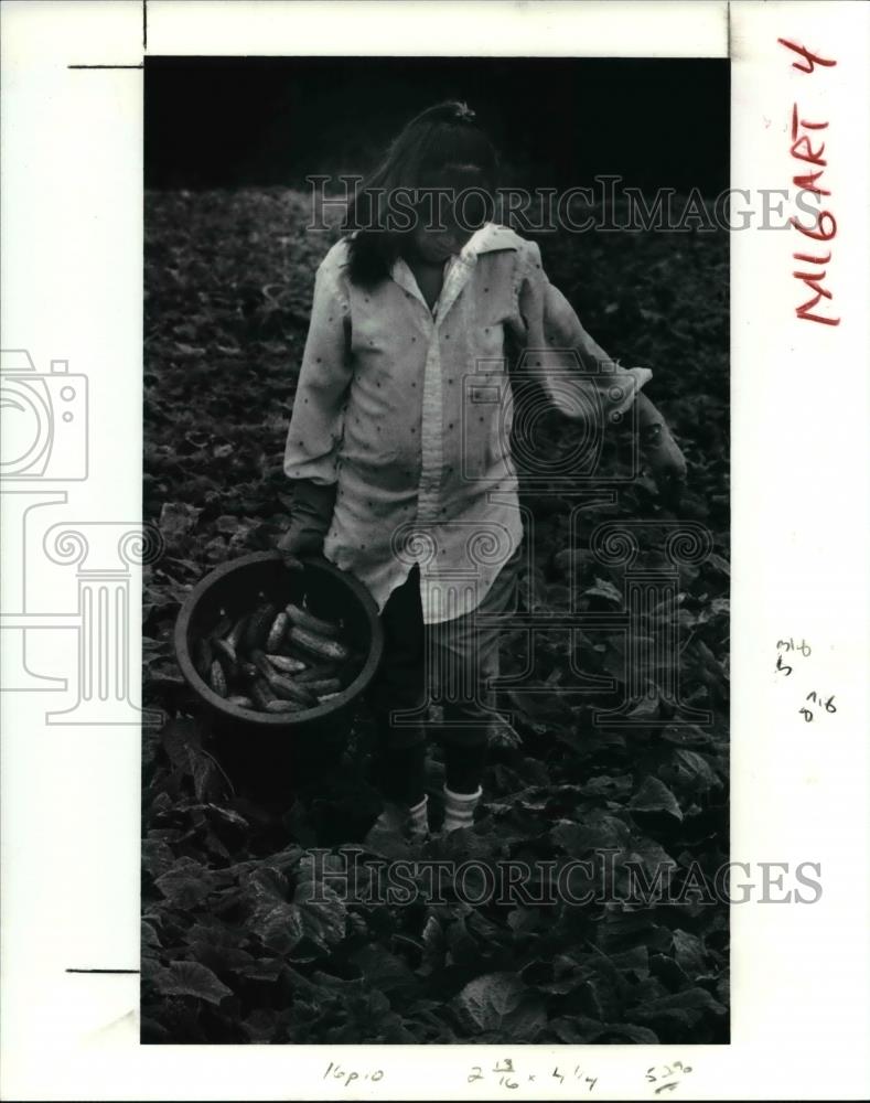 1991 Press Photo Julie Rodriquez Works Fields at Farm Eight Months Pregnant - Historic Images