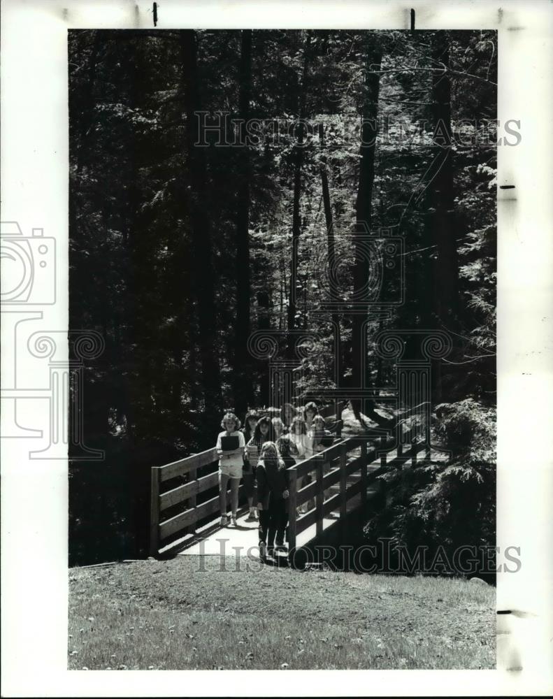1987 Press Photo Group walking across bridge, woods background, Camp Whitewood - Historic Images