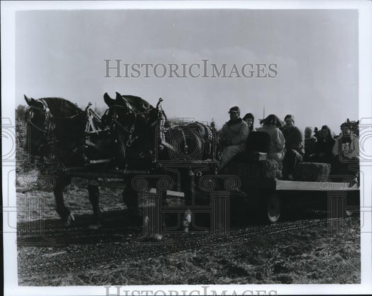 1992 Press Photo Manners Pine Tree Lodge - 794 - Historic Images