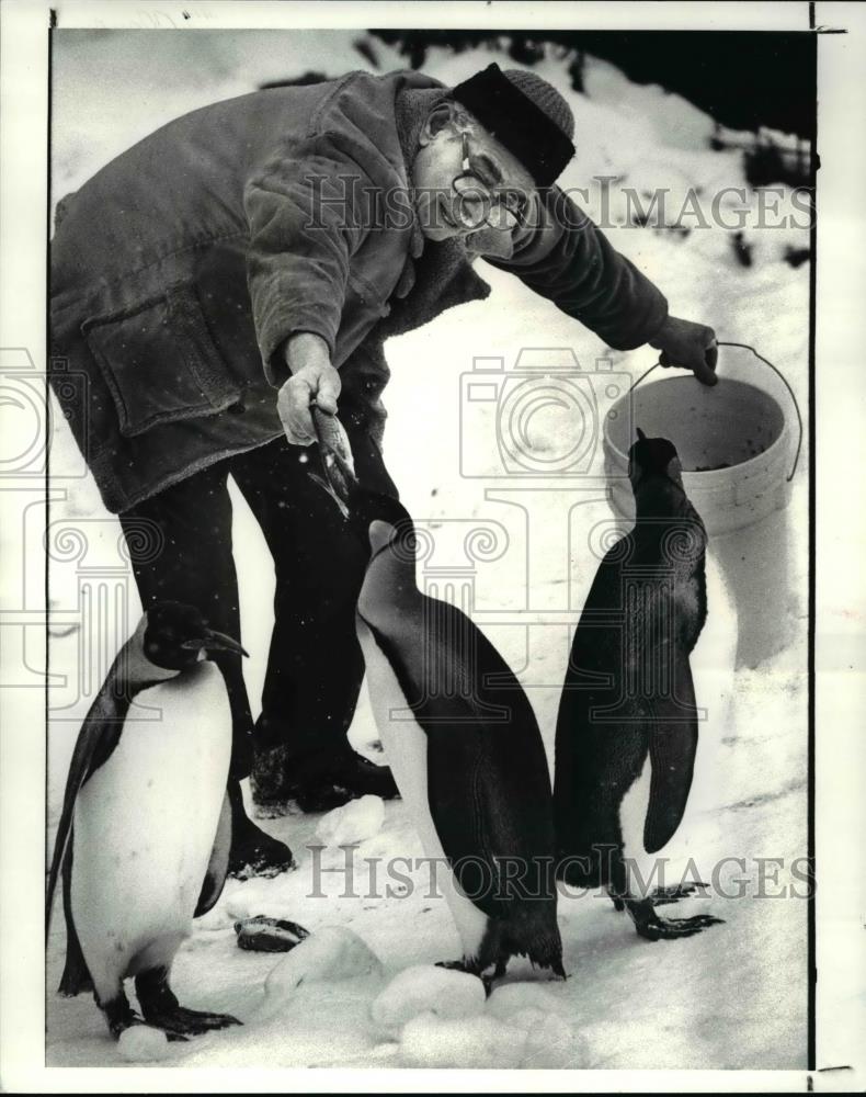 1985 Press Photo Zoo Keeper Alex Malow feeds the King penguins at the Metropark - Historic Images