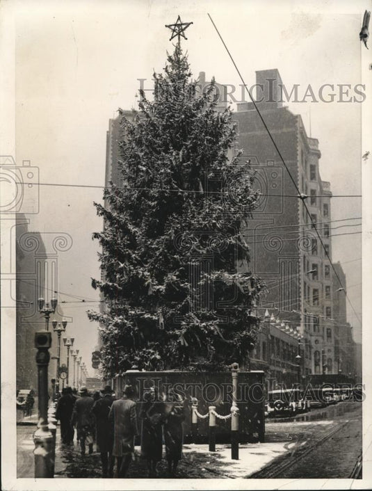 1981 Press Photo Christmas Tree - Historic Images