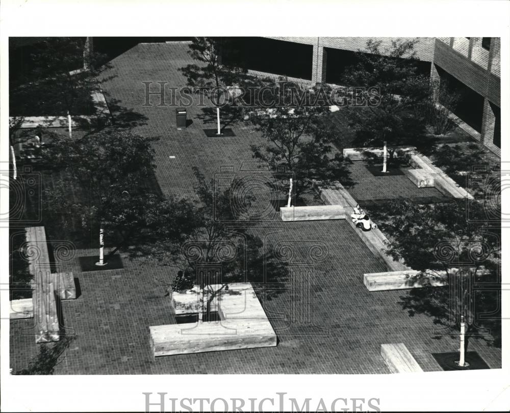 1977 Press Photo Robert Thomas, Landscape contractor of the Cuyahoga College - Historic Images