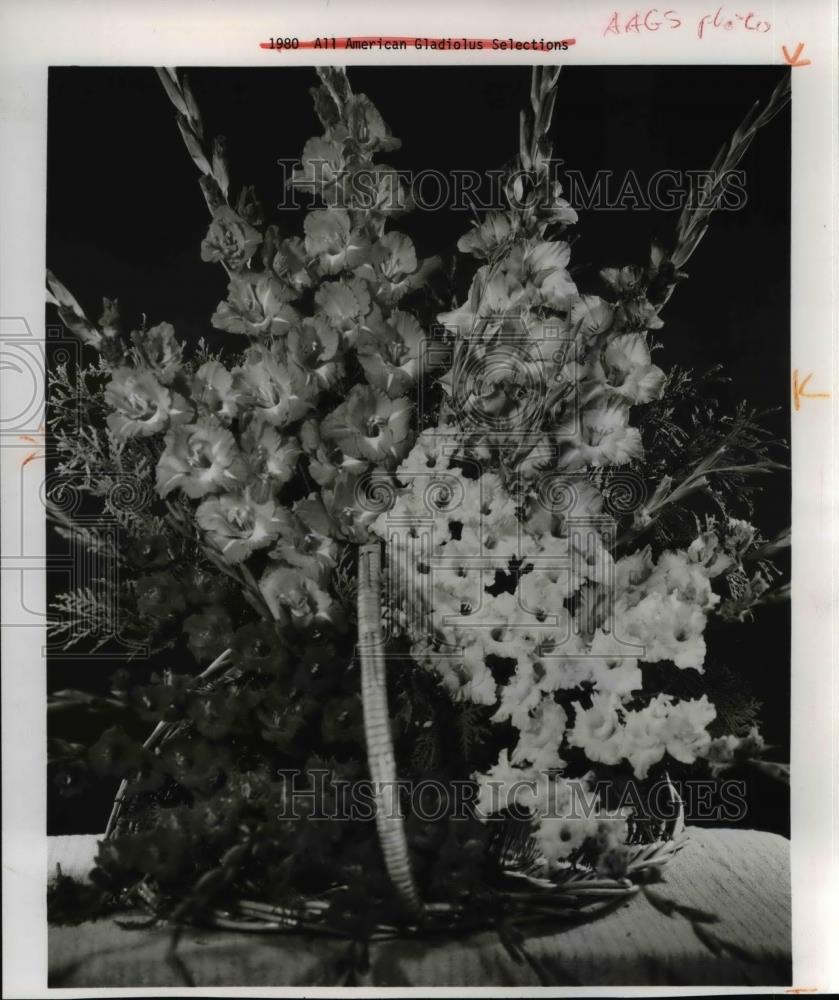 1980 Press Photo Gladiolus - Historic Images