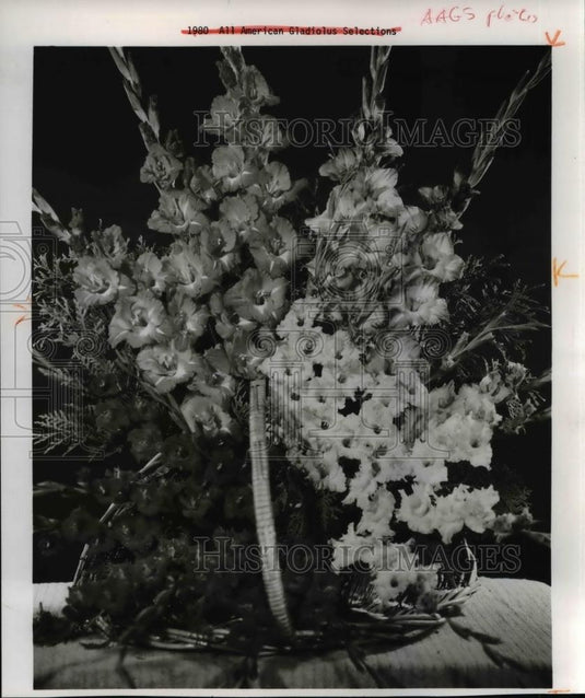 1980 Press Photo Gladiolus - Historic Images