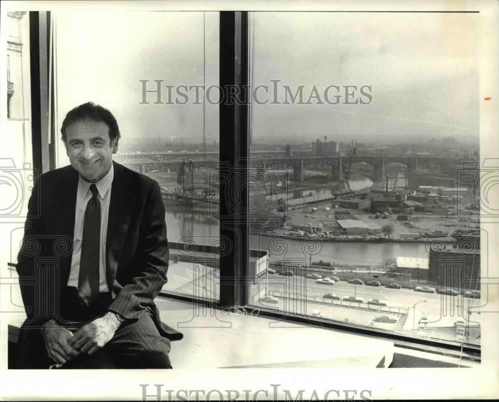 1981 Press Photo Marc Wyse - Historic Images