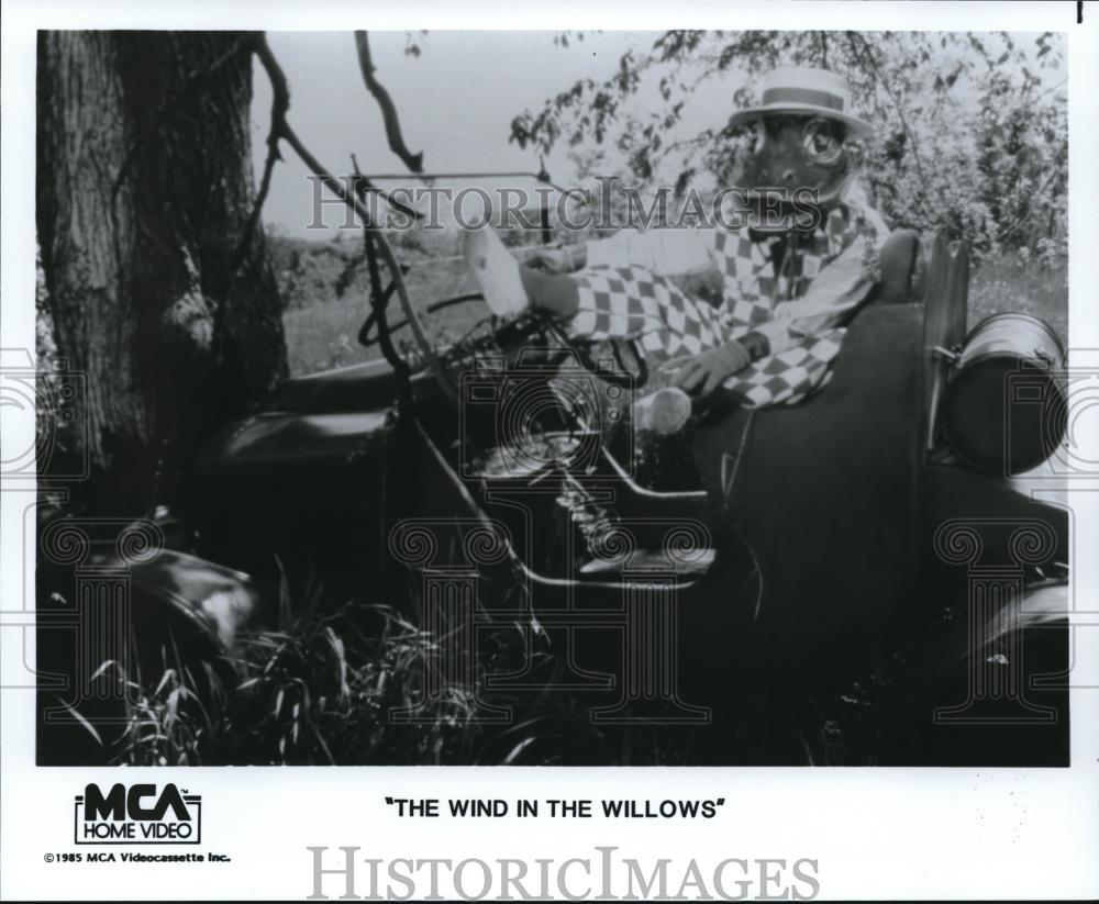 1989 Press Photo Scene from The Wind in the Willows - cvp52932 - Historic Images