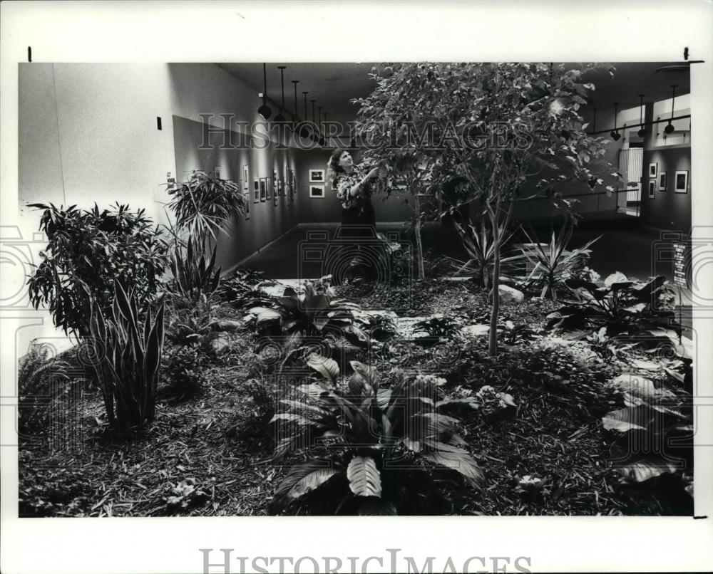 1991 Press Photo Phyllis Zielinski working in a newly redesigned atrium - Historic Images