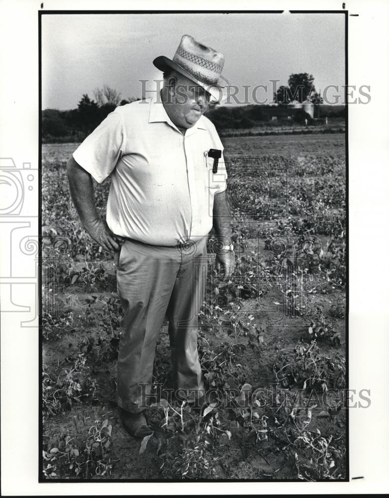 1986 Press Photo Mayor Bolt in his soybean field which could be 3-4 feet high - Historic Images
