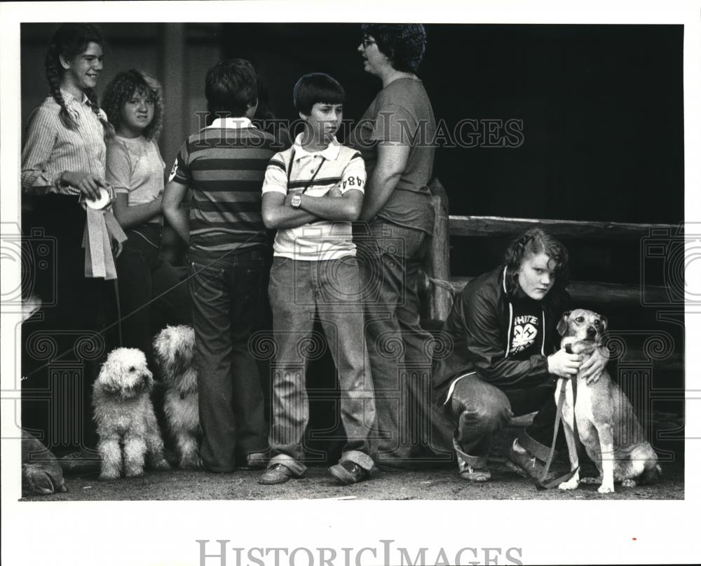 1981 Press Photo The dog entries at the Dog Show during the Geauga County fair - Historic Images