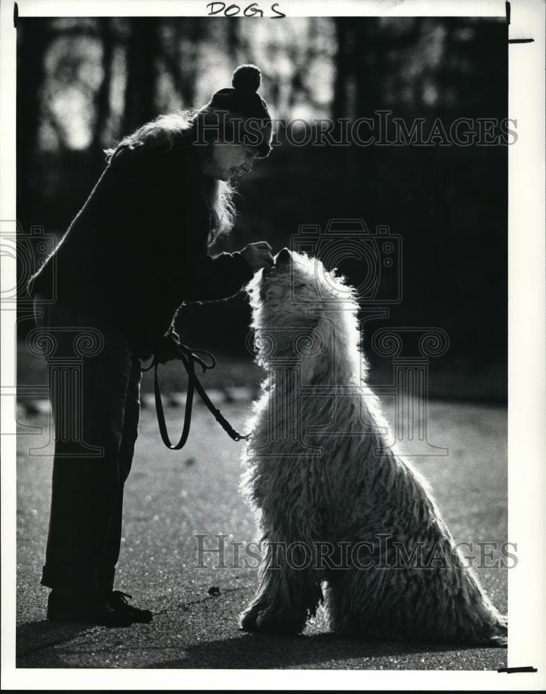 1990 Press Photo Arlene Aronson Rewards her Hungarian Sheep Guard Dog Gilly - Historic Images
