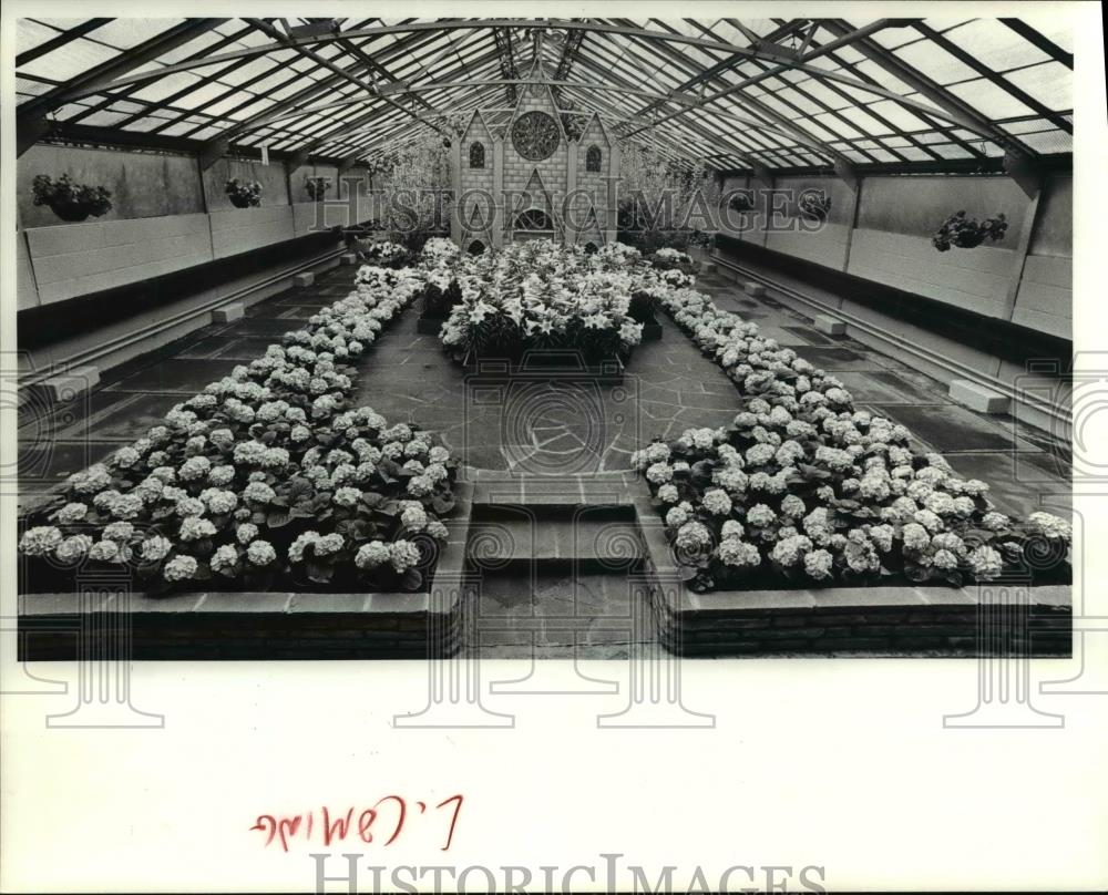 1980 Press Photo Easter Floral at City Greenhouse - Historic Images