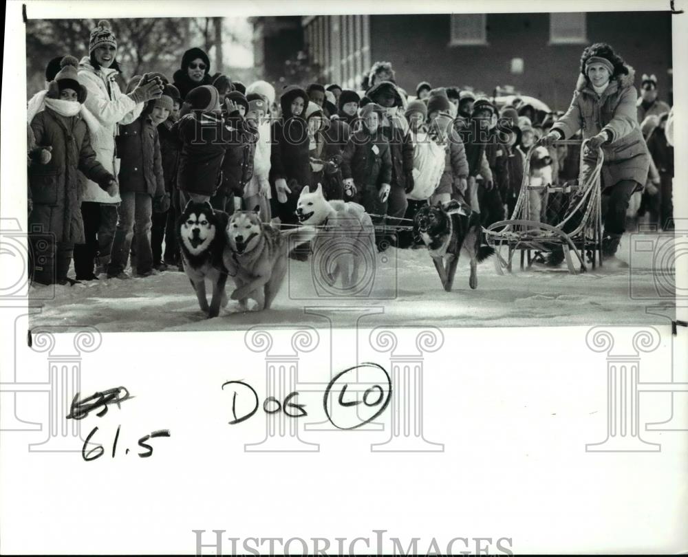 1989 Press Photo Johna Stokes with her dogsled - Historic Images