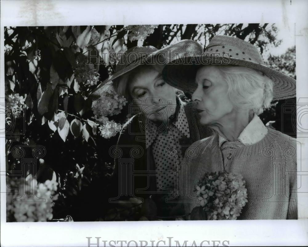 1988 Press Photo Lillian Gish and Bette Davis star in The Whales of August - Historic Images