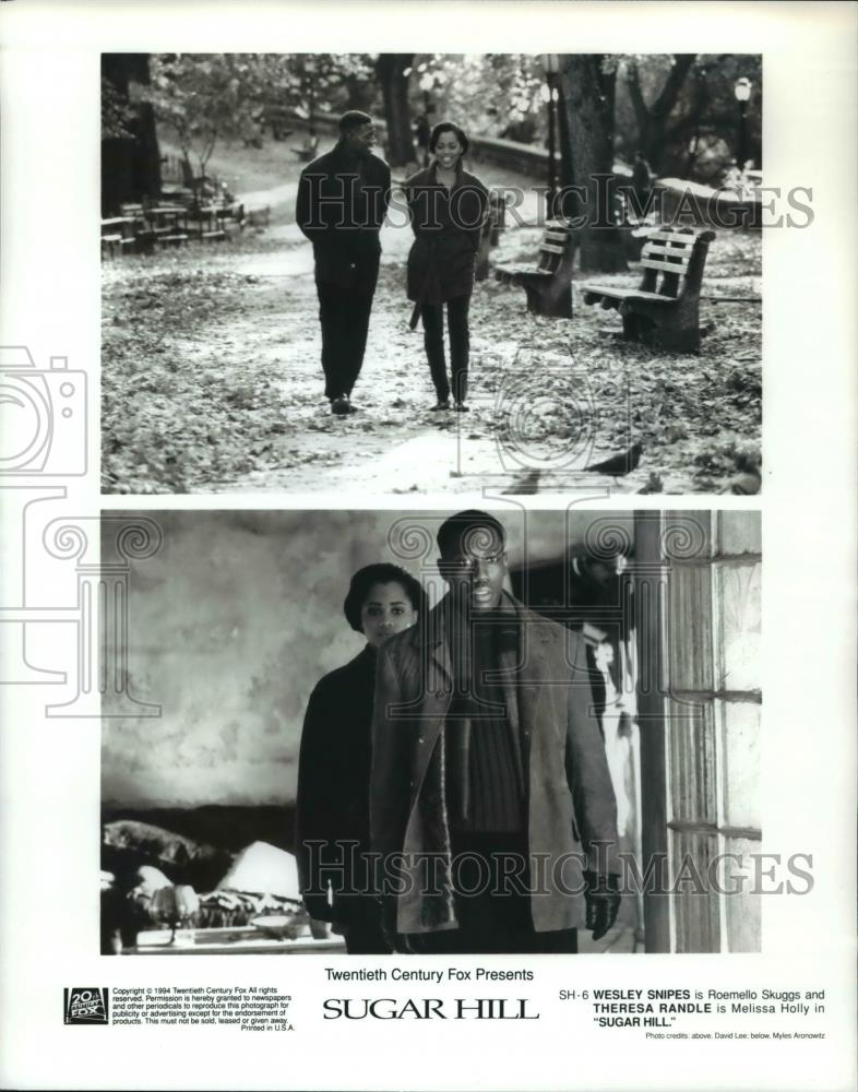 1995 Press Photo Wesley Snipes and Theresa Randle star in Sugar Hill - cvp69646 - Historic Images