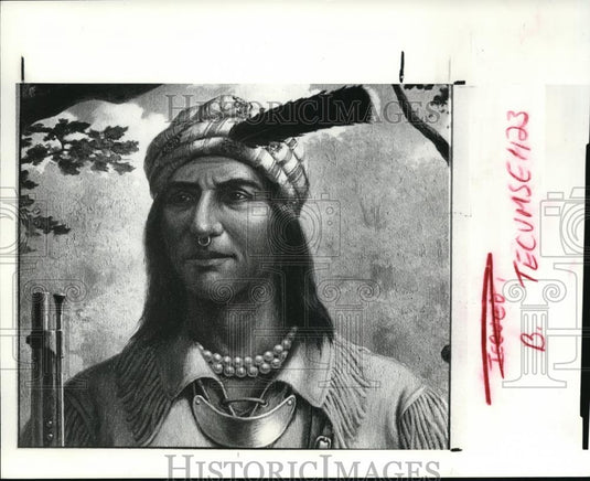 1990 Press Photo The Tecumseh painting - cva51713 - Historic Images