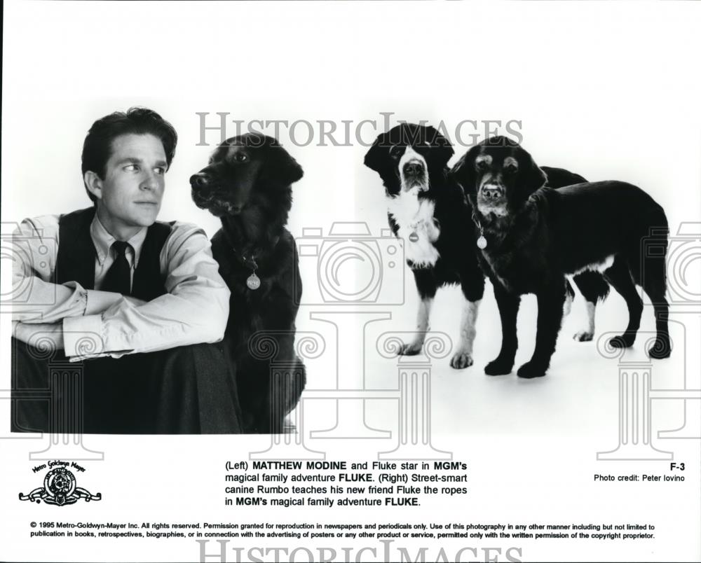 1995 Press Photo Matthew Modine stars in Fluke family adventure movie - Historic Images