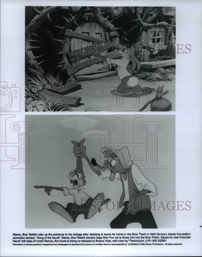 Press Photo Brer Rabbit in Song of the South - cvp70297 - Historic Images