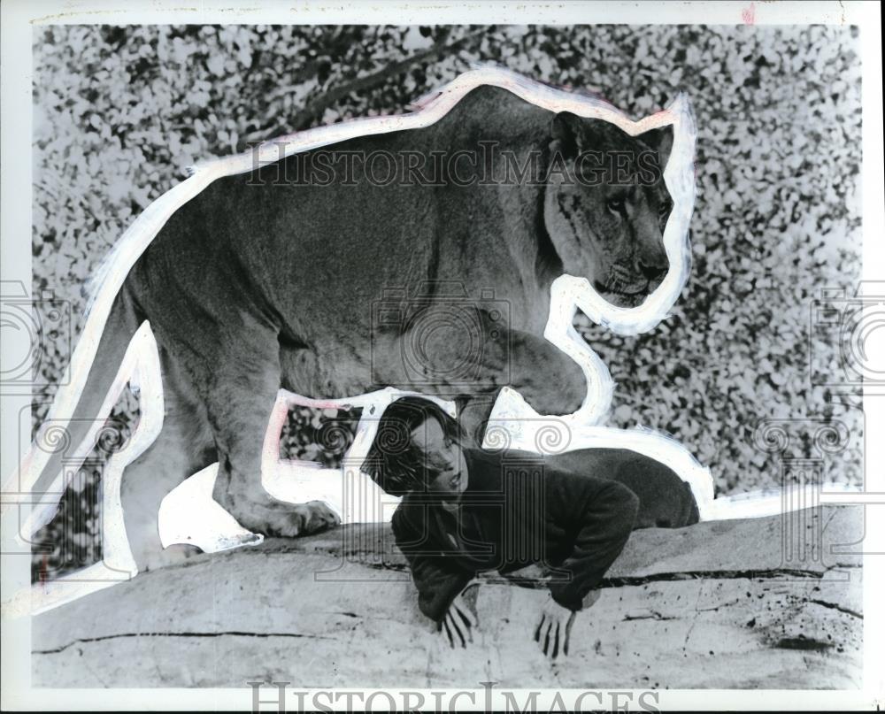 1979 Press Photo Tippi Hedren stars in Roar! movie film - cvp42681 - Historic Images