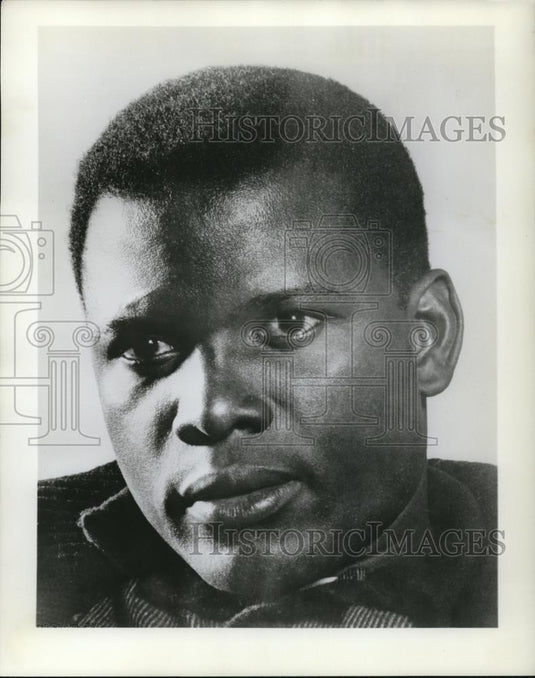 1963 Press Photo Sidney Poitier American Actor present Capazio Dance Award - Historic Images