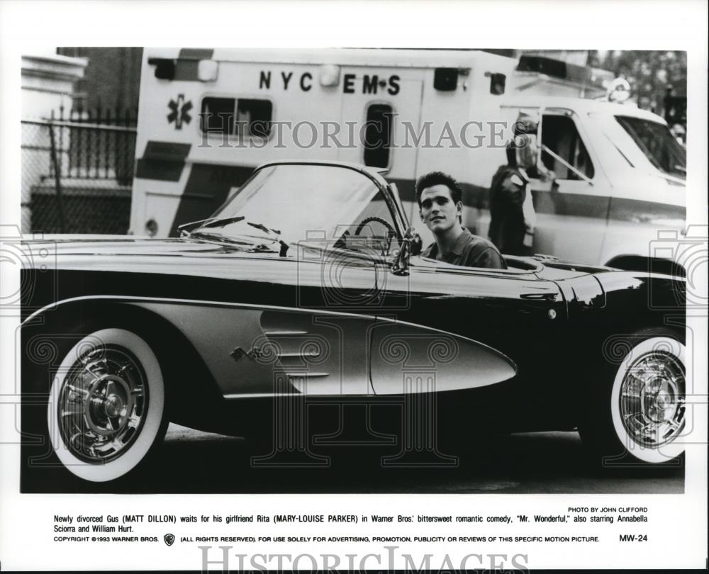 1994 Press Photo Matt Dillon and Mary-Louise Parker star in Mr. Wonderful - Historic Images