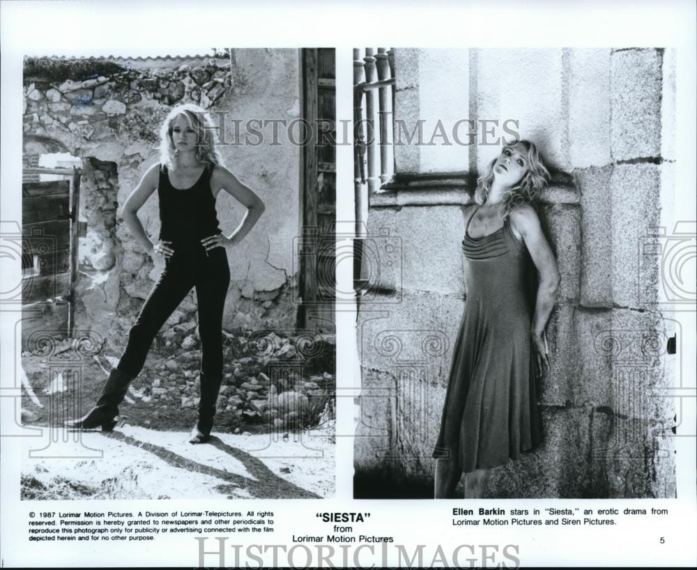 1988 Press Photo Ellen Barkin in Siesta - cvp43074 - Historic Images
