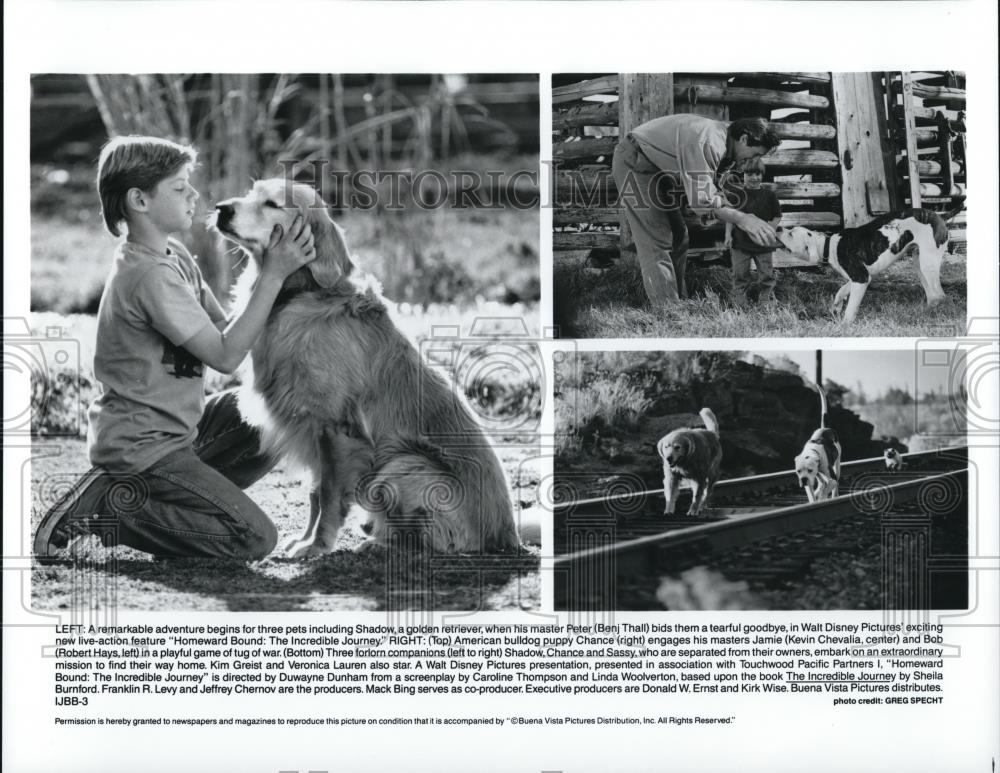 1994 Press Photo Benji Thall Kevin Chevalia Chance "Homeward Bound" - cvp51603 - Historic Images