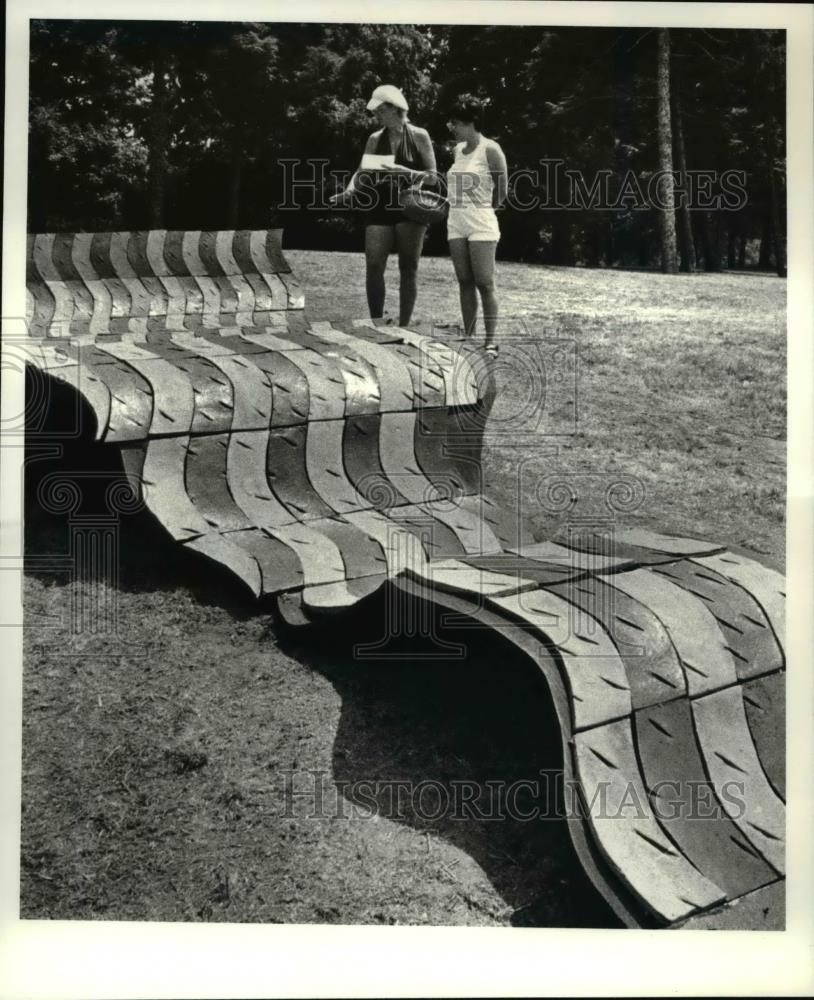 1981 Press Photo Art exhibit by sculptress Pula Dubaniewicz called Current Event - Historic Images