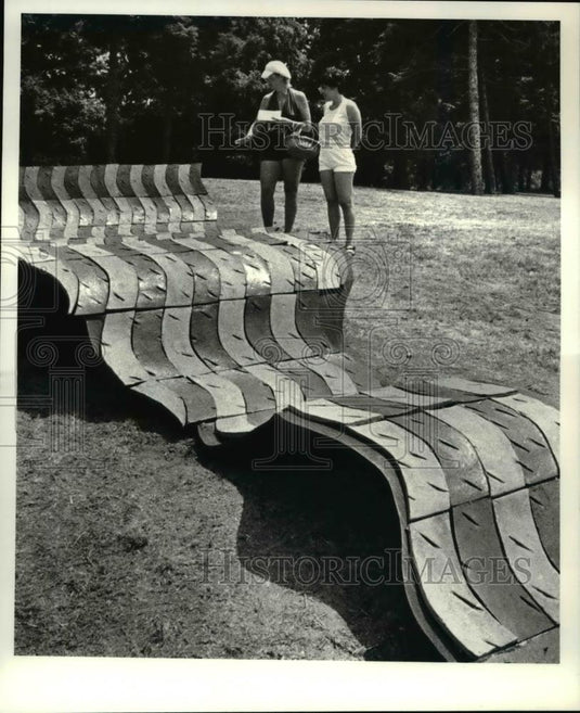1981 Press Photo Art exhibit by sculptress Pula Dubaniewicz called Current Event - Historic Images
